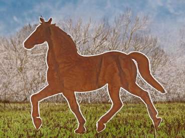 Beetstecker Anmut in Rost – Majestätisches Pferd für Ihren Garten