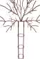Preview: Wunderschöne Rankhilfe Baum - Höhe 210 cm