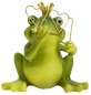 Preview: 2er Set Lustiger Frosch mit Kussmund oder Brille klein ca. 9 cm - Dekofigur
