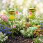 Preview: Schöner Gartenstecker Frosch mit Blume ca. 84 cm - Gartendekoration