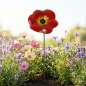 Preview: Zauberhafter Gartenstecker Glasblume rot - ca. 100 cm - Gartendekoration