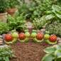 Preview: Fröhliches Schnecken-Quartett für Ihren Gartenparadies!