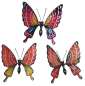 Preview: 3er Set Farbenfrohe Gartenstecker Schmetterlinge Apollo ca. 55 cm - Gartendekoration