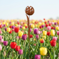 Preview: Wunderschöner Gartenstecker Tulpe ca. 120 cm - Gartendekoration