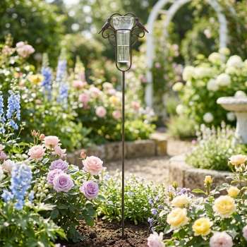 Eleganter Regenmesser Vogel mit Herz