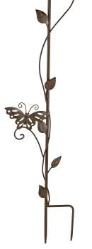 Preview: Bezaubernder Regenmesser Schmetterling