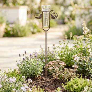 Elegante Regenmesser Vogel mit zwei Herzen