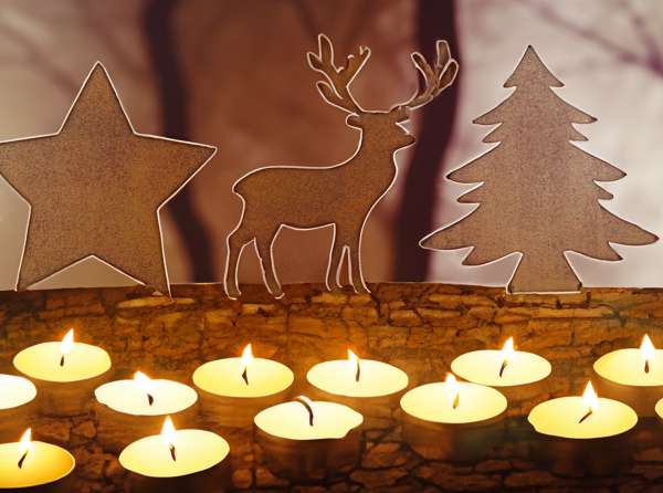 3er-Set Beetstecker Tannenbaum, Stern & Hirsch – stimmungsvolle Gartendeko in Braun