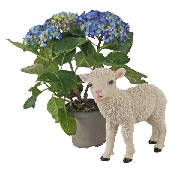 Dekoratives Lamm – Liebevolle Garten- und Wohnraumdekoration